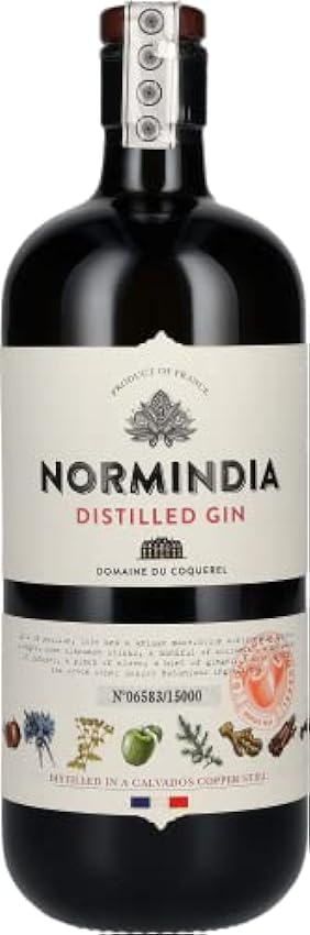 Normindia Gin Distillé 41,4% Vol. 0,7l kWNpQWFb