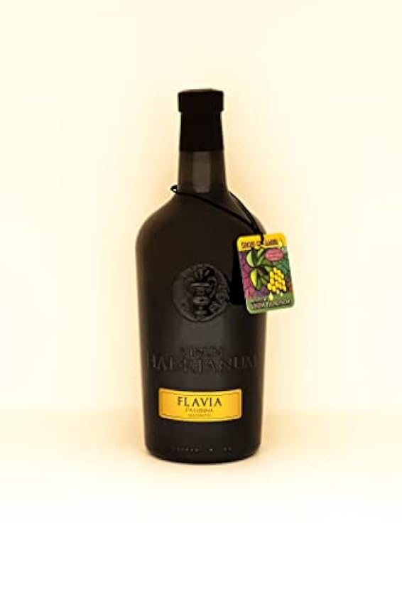 Vinum Hadrianum Vino Cosechado a Mano Proceso 100% Natural White Wine FLAVIA 2021 | 100% Passerina Colli Aprutini Grapes IGT Wine Aged in clay amphora | 25.36 Fl Oz (750ml) ITK6iAHc