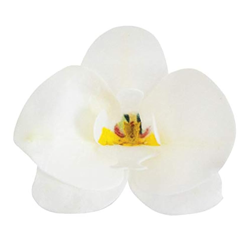 dekora Decoraciones para Pasteles Orquídeas de Oblea Comestibles, Blanco, Paquete de 10, Talla única h5iHrknO