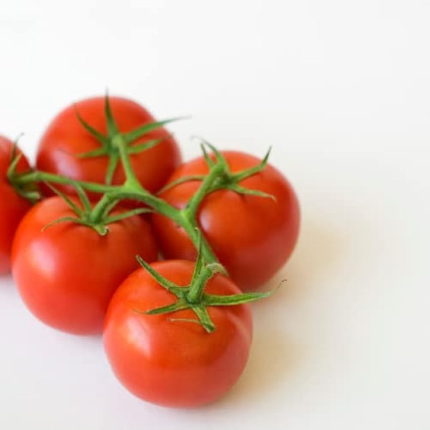 Tomate en polvo ecológico (500g), tomate molido procedente de cultivo ecológico controlado, 100% puro y natural NOspQJjp