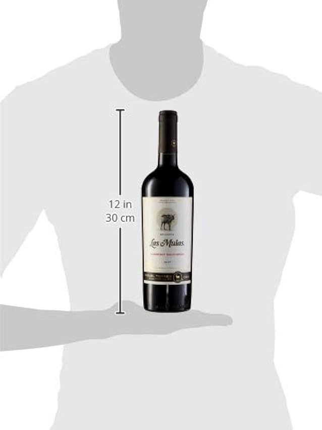 Miguel Torres Chile Las Mulas Cabernet Sauvignon, Vino Tinto - 6 botellas de 75 cl, Total: 4500 ml MRHSSeGj