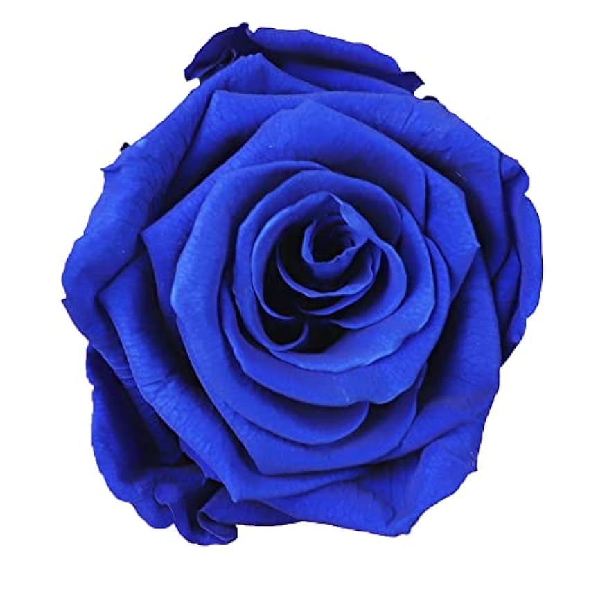 Infinity Flowerbox Grande: 18 Rosas auténticas Color Azul, Dura 3 años sin regar. jAW7r7lu