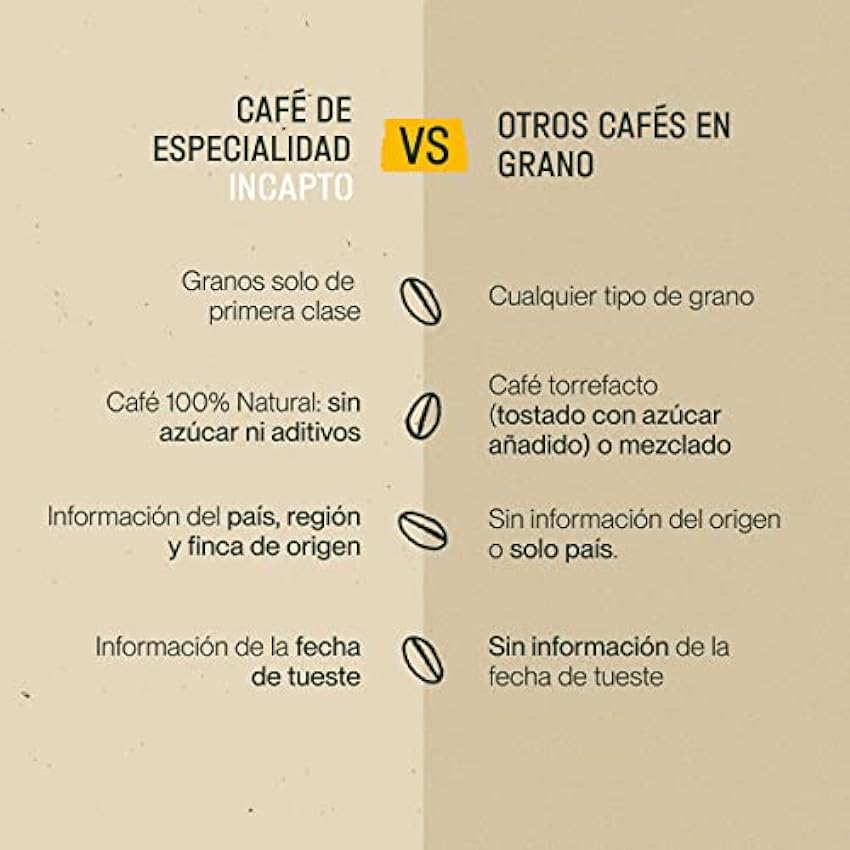 Incapto Café en Grano Natural - Café Especialidad | Pack Degustación Café Centroamérica | Café de Guatemala, México y Brasil | +80 puntos SCA | Café en Grano Arábica 100% | 3 bolsas de 100 gr JU0unZSG