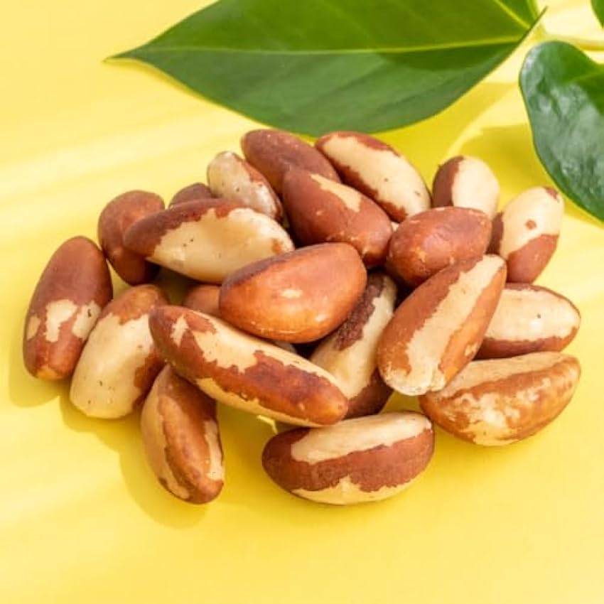 Nueces de Brasil bio 250g de Munchilycious, nueces de brasil crudas, snacks de nueces, snacks cetogénicos, complemento perfecto para cereales, granola, batidos o gachas de desayuno pDZYyO2K