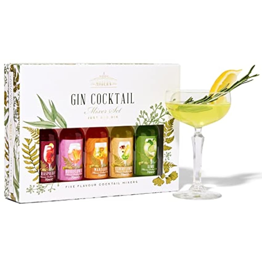 Modern Gourmet Foods, Set de regalo Premium Gin Cocktail Mixer, Set de 5 (no contiene alcohol) hyOijFYJ