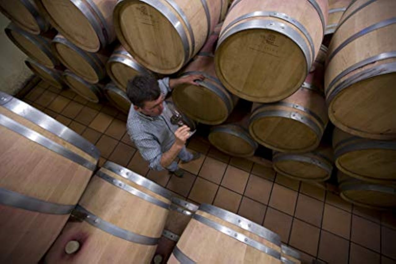 Vino tinto Blei 2015 - DOQ Priorat - Pack de vino 6 botellas Blei - Crianza 12 meses - Selección vins&co barcelona - 750 ml GXN8eF3m