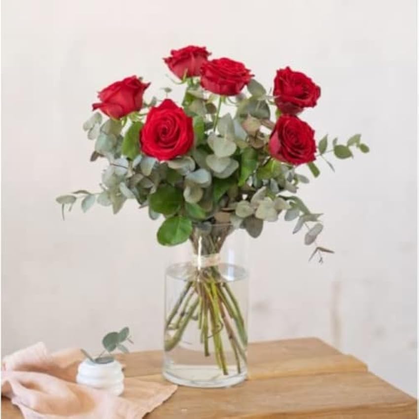 Ramo de 6 rosas rojas -FLORES NATURALES-ENTREGA EN 24 HORAS DE LUNES A SABADO L1CSz6Bk