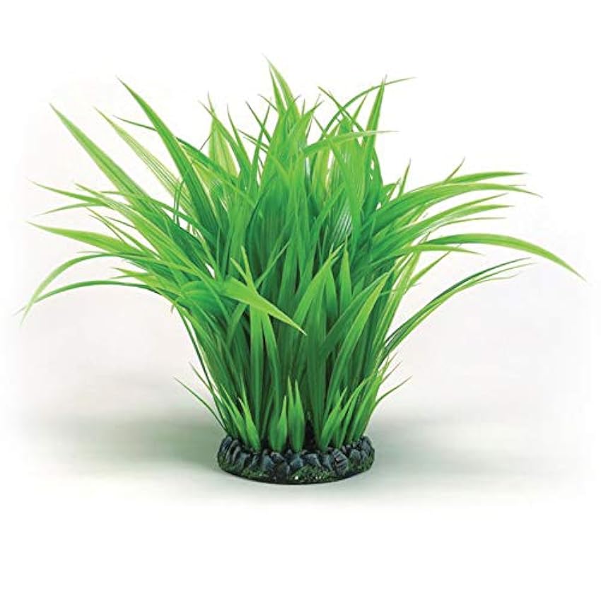 biOrb Anillo de hierba de color verde en tamaño L IsKUF