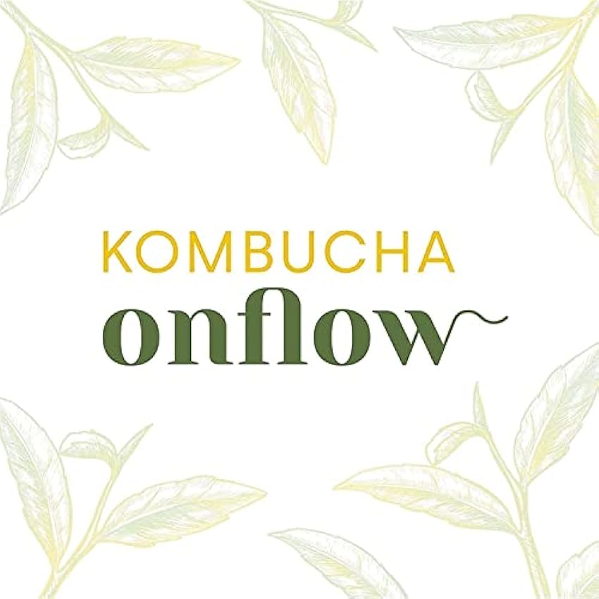 Kombucha Onflow - Té Kombucha Sabor Citricos, Manzana y Canela, Mango y Remolacha, Te Verde, Melon y espirulina (Citricos, 1 Litro) IeNCbGIK