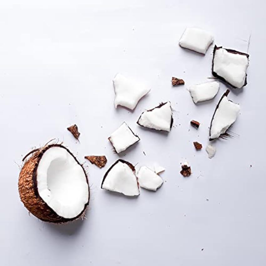 Chips de Coco Orgánico (500g), Sin Azúcar y Sin Tostar, Chips de Coco de Cultivo Ecológico, 100% Natural y Puro, Snack Listo para Comer, Vegano gi59TAi7