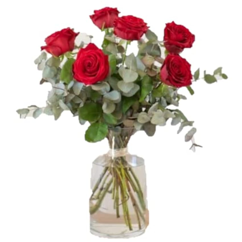 Ramo de 6 rosas rojas -FLORES NATURALES-ENTREGA EN 24 H