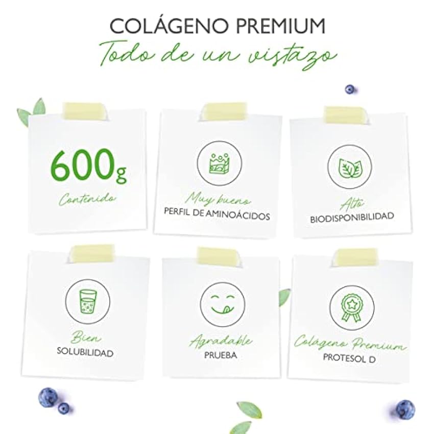 Colágeno en Polvo 600 g - Melocotón Fruta de la Pasión - Premium: 100% colágeno bovino hidrolizado péptidos por Protesol D - Colágeno Tipo 1 2 3 M8WZ3KvT