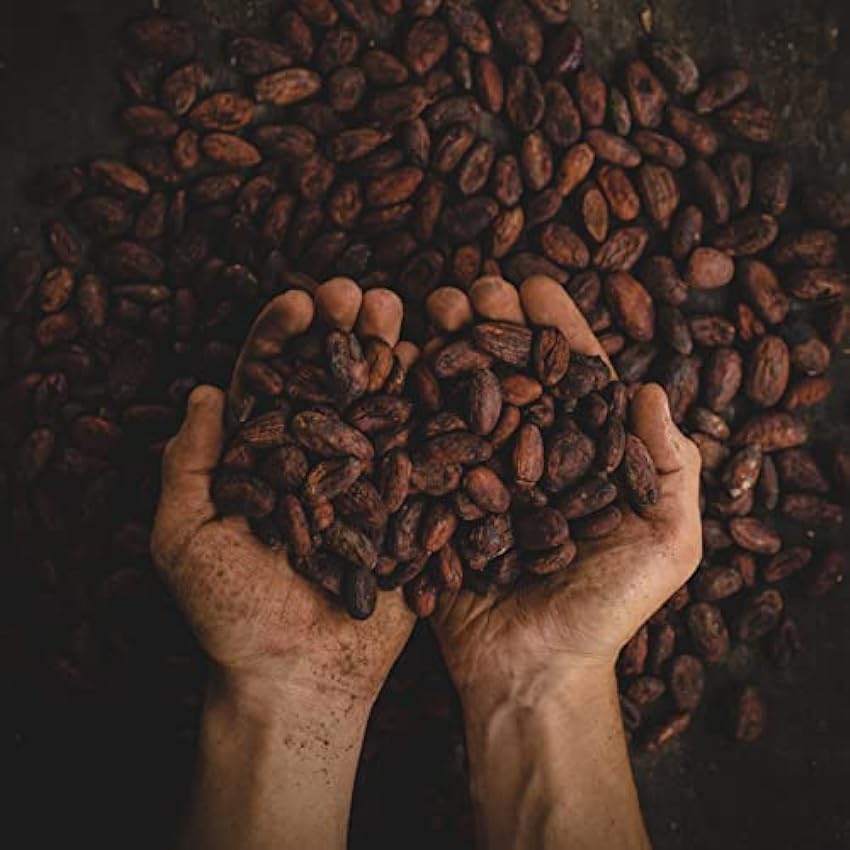 Cacao en grano orgánico (250g), granos cacao orgánico de cultivo orgánico controlado, 100% natural, sin gluten, sin lactosa, probado en laboratorio, vegano GWDF5TfO