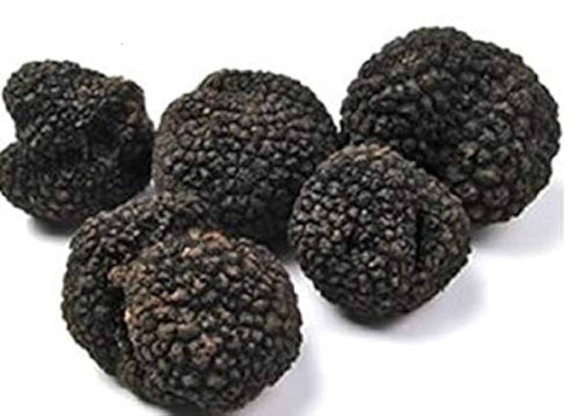 Trufas negras frescas italianas 50g (Tuber Uncinatum). 