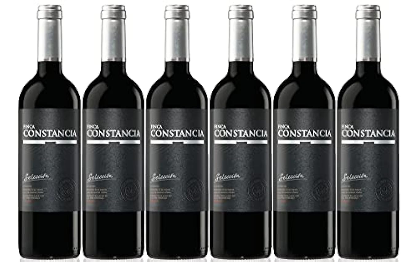 Finca Constancia Selección - Vino Tinto V.T. Castilla - 6 botellas de 750 ml - Total: 4500 ml OCunIgB6