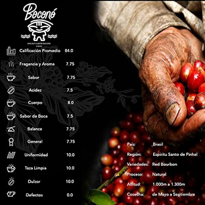 Boconó Specialty Coffee - Café de especialidad en grano de Brasil - 500 g Arábica - Tueste medio - Proceso Post Cosecha Natural - ideal para cafetera Italiana V60 Chemex Aeropress - espresso krfkYtQ7