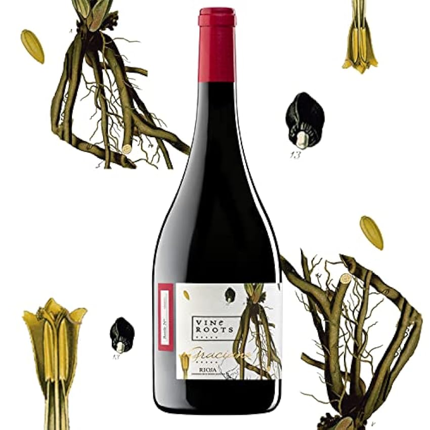 Vine Roots Graciano 2018 – Tinto D.O.Ca. Rioja – 12 meses en barrica – Ecológico -Vegano – Elaborado por Bodegas Corral (6 botellas 75 cl) JFOxC2dh