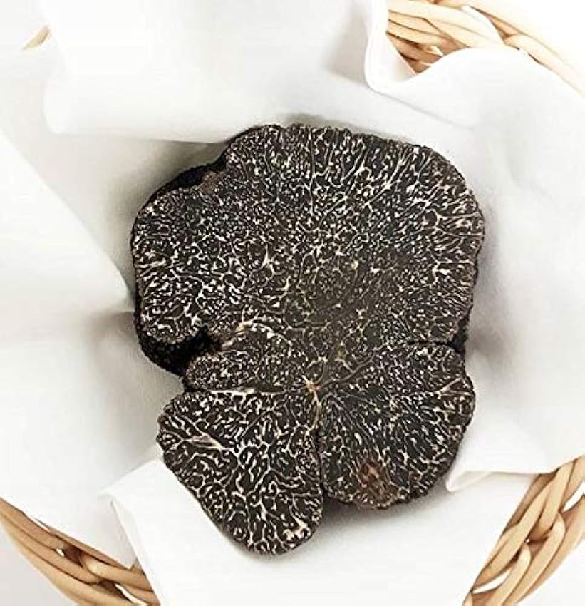 Wild Tuber melanosporum Wild Tuber melanosporum Black Truffle Fresh Champiñones 500 gr (17.63 oz) O1oZyDEf