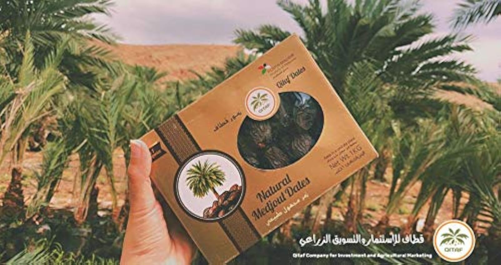 Dátiles Medjool de Palestina | 1 Kg de Dátiles de Origen Natural | Deshidratados | Sin azufre y Sin Azúcar | Frutos Secos Crudos | Veganos y Vegetarianos | Dorimed jBz3Ep1u
