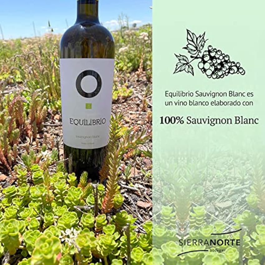 Bodegas Sierra Norte -Botella de Vino Blanco Equilibrio Suavignon Blanc - DO Jumilla - 100% Sauvignon Blanc - Vino Ecológico y Vegano 75 cl - 12% Alcohol - Afrutado y Aflorado kRMrTyLJ