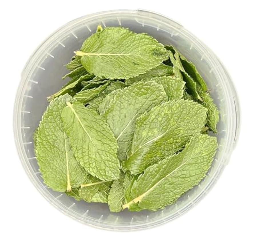 Menta Mojito liofilizada en hojas enteras,lista para usar en cócteles y platos innovadores,conservando el 98% del sabor,color y aroma de la menta fresca,100% MENTA HIERBABUENA mrmq5X0B