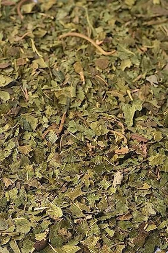 Biojoy Hojas de morera BÍO (500 gr), secadas y cortadas, apto para té e infusión (Morus alba, M nigra) l9L4AF69