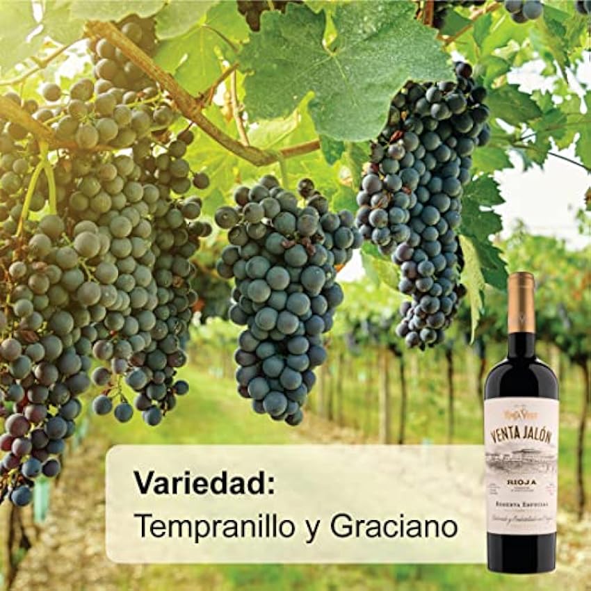 Rioja Vega - Vino Venta Jalón - Botella de vino x 750 ml - D.O. Rioja - Graciano - Vino graciano - Vino tempranillo - 13,5% Vol iMTW3CRJ