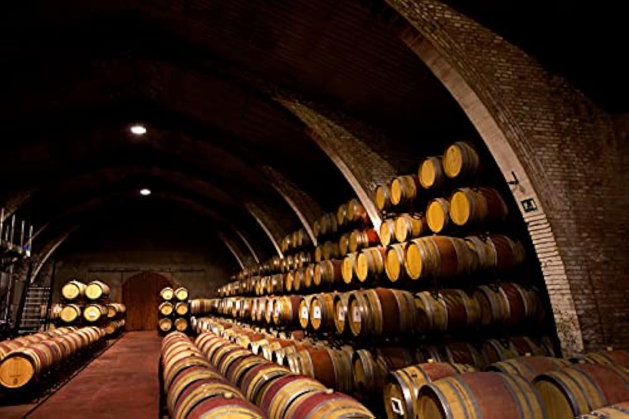Raimat El Silenci del Molí - Vino Tinto, 100% Cabernet Sauvignon - 75cl pMWc1xax