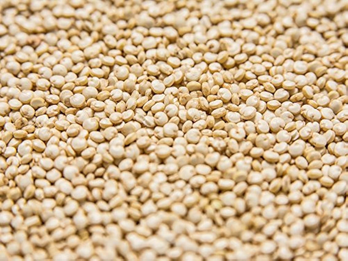 Biojoy Granos de Quinoa Blanca BÍO (1 kg), Chenopodium quinoa pUTNxna2