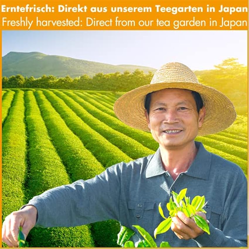Goodwei Genmaicha Bio Té Verde Japonés Orgánico con Arroz Tostado (250g) oflN8N3g