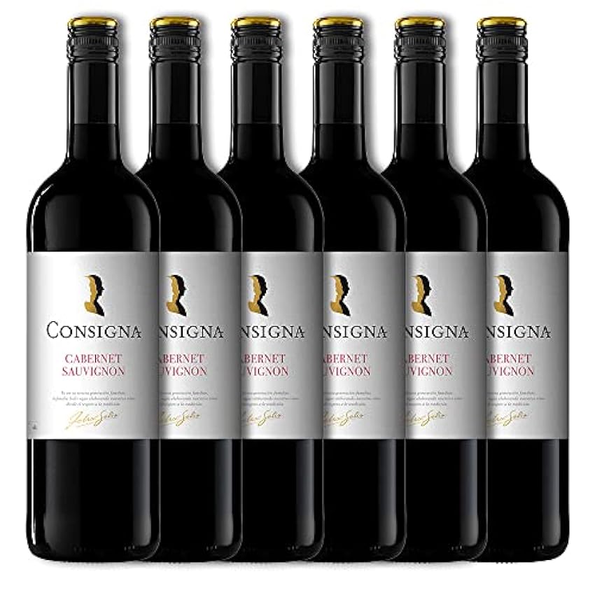 Consigna Vino Tinto Cabernet Sauvignon - 6 botellas x 750ml - Total:4500ml pWQEzHFK