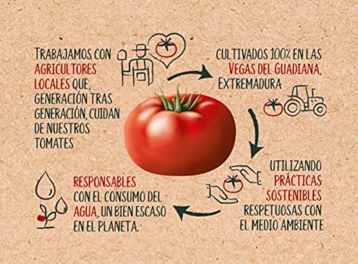 Tomate Frito Solis 24x140g (Caja 24 Latas) LTnEoioF