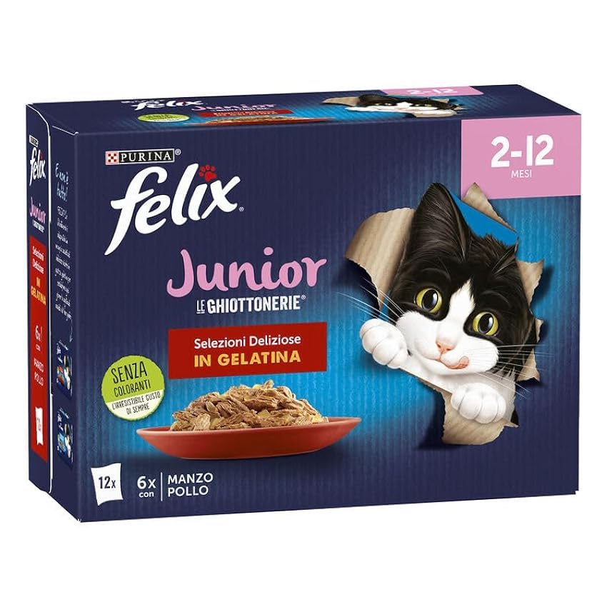 Purina Felix Le Ghiottonerie Junior en gelatina con Car