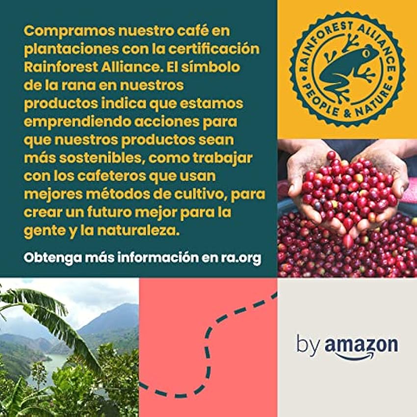by - Café en grano natural Caffè Intenso, tueste claro, Cafeinado, 500g, (Paquete de 2), certificado Rainforest Alliance G7wfetYu
