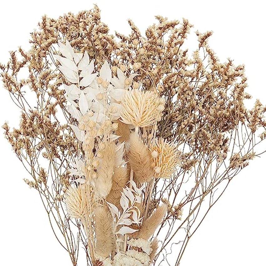 ATMOSPHERA CREATEUR D´INTERIEUR Ramo de Flores secas Vista al mar oGFtNMVk