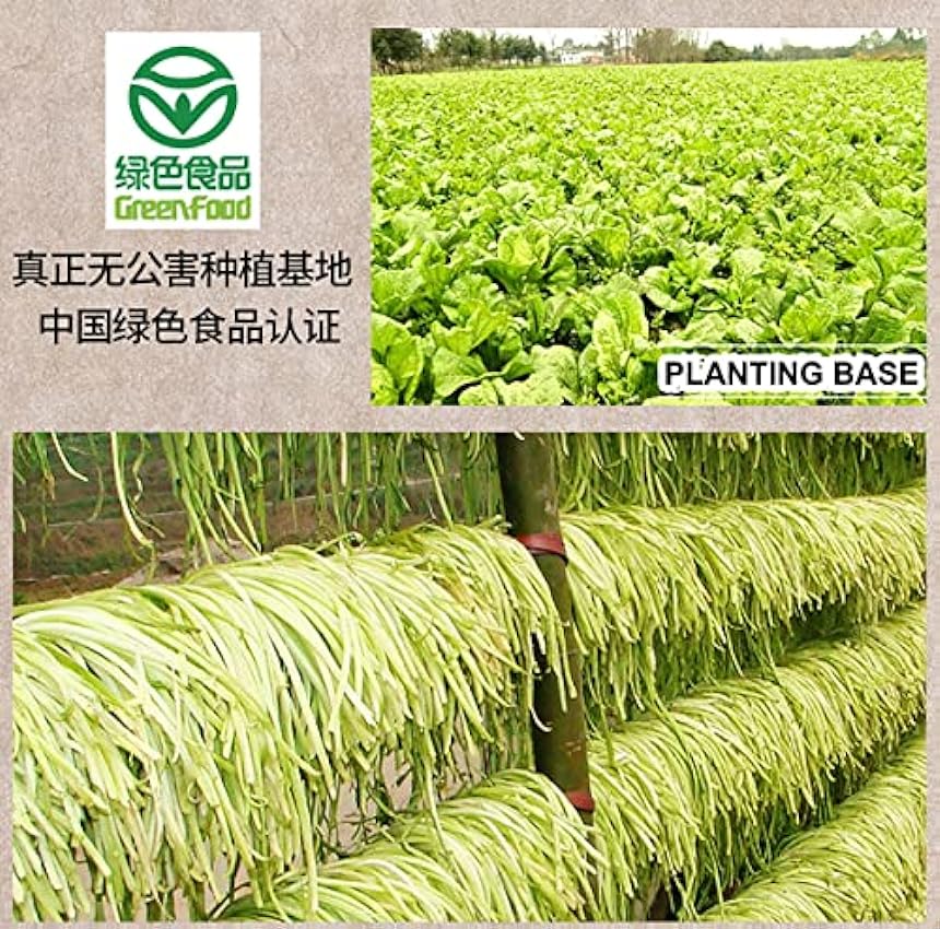 Bailinhou SuiMi Yacai - Vegetales preservados de Sichuan 1000g, vegetal seco de tallo de mostaza, fermentación de Laotan, de Sichuan, China. N3eo2OOF